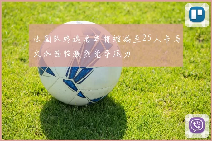 法国队终选名单将缩减至25人卡马文加面临激烈竞争压力