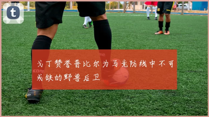 戈丁赞誉普比尔为马竞防线中不可或缺的野兽后卫